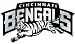 Cincinnati Bengals NFL Silver Auto Emblem