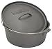 Outdoor Living : Bayou Classic 7402, 2-Qt. Cast Iron Dutch Oven with Dutch Oven Lid