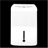 GE Dehumidifier (40 pint)
