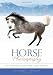 Horse Photography: The Dynamic Guide for Horse …s (Horses... at Amazon: 41za4DOv34L._SL75_