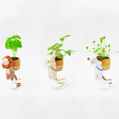 Amusing Animal's Tail Water Absorption Potted Plants Mini Green Desktop Bonsai w/ Dog + Cat + Monkey Pot and Plant Seeds
