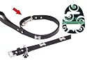Wag 'N' Walk Designer Dog Lead Diamante Black Bone 3/4"