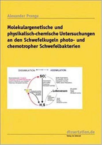 Schwefelbakterien
