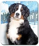 Bernese Mountain Dog Mousepad
