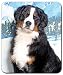 Bernese Mountain Dog Mousepad