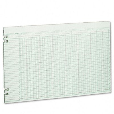 Wilson Jones Green Columnar Ruled Ledger Paper, Double Page