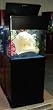 38 gallon reef ready cube aquarium with real wood cabinet stand and canopy
