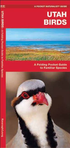 Utah Birds: A Folding Pocket Guide to Familiar Species (Pocket Naturalist Guide Series)
