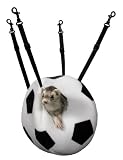 Marshall Ferret Lookout
