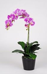 Artificial 23" Double Phalaenopsis Orchid, Lavender