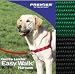 Easy Walk Harness - Medium/Large, Green
