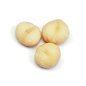 MACADAMIA NUTS, 25 lbs.