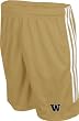 Washington Huskies Big Game Mesh Shorts