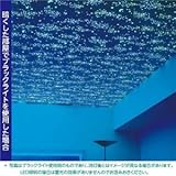 光る壁紙（蓄光） のりなしタイプ サンゲツ FE-4041 93cm巾 20m巻〔防カビ〕〔日本製〕