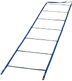 TOEI LIGHT(トーエイライト) スピードラダー10M固定式 G1727