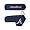 Atlanta Braves