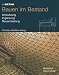 Im Detail: Bauen im Bestand: Sanierung, Ergänzung, Neuschöpfung (In Detail (Deutsch))