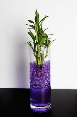 Water Crystals for Plants - Purple Hydro Crystals