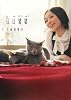 日日猫猫
