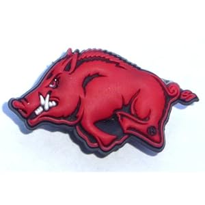 Arkansas Wild Boar