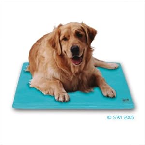 Canine Cooler Pet Bed Large