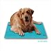 Canine Cooler Pet Bed Large Canine Cooler Pet Bed Large