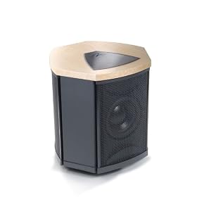 MartinLogan Depth i High-Performance Triple 8-Inch Servo-Control Subwoofer (Single, Birds Eye Maple) by