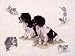 Hunting Dogs-Pointers by Nigel Hemming. Art Print Poster 16 inches width by 12 inches height. Highest Quality Art Poster Print