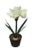 21" White Amaryllis Battery Operated LED Lighted Potted Flower Plant