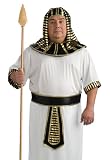 Rubies Egyptian Pharaoh Plus Size King Tut Halloween Costume