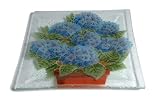 Peggy Karr 10-Inch Glass Hydrangea Square Plate