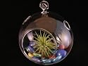Air Plant Bubble Glass Globe Terrarium with Colorful Display By Hinterland Trading
