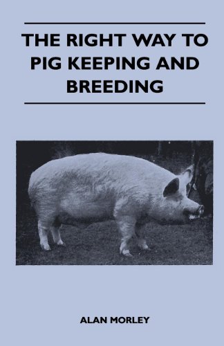 The Right Way to Pig Keeping and Breeding