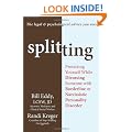 Splitting: Protecting Yourself While Divorcing Someone with Borderline or Narcissistic Personality Disorder