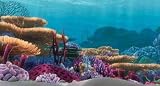 Tetra Disney Aquarium Background - Coral Reef