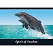 (24x36) Dolphins (Spirit Of Freedom) Art Poster Print
