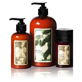 WEN Hair Care Set - Set B