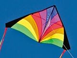 Into The Wind Rainbow Kid's Delta Kite