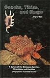 Conchs, tibias and harps
