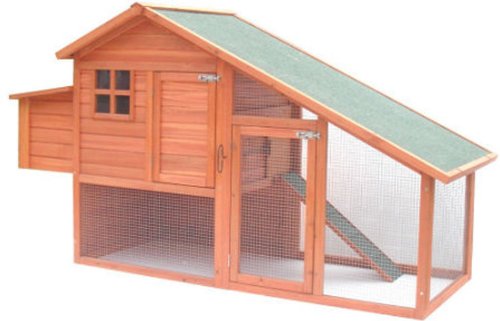 Chicken Shack Chicken Coop with Sloping Roof
