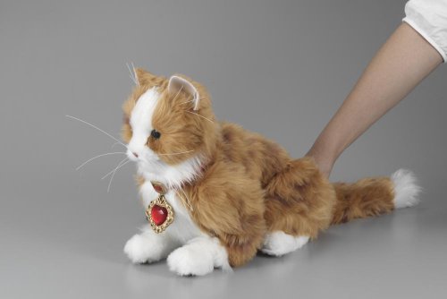 Cover image : 首輪でおしゃべり 夢ねこハート
