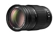 Panasonic H-FS100300E Telezoom Lumix G F4,0-5,6/ 100-300 mm (200-600 mm KB, bildstabilisiert, 67 mm Filtergewinde) schwarz