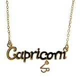 Capricorn Horoscope Zodiac Nameplate Necklace, Astrogirl! In Gold