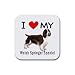 I Love My Welsh Springer Spaniel Square Coasters (Set of 4)