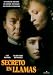 Search : Burning Secret ( Brennendes Geheimnis ) [ NON-USA FORMAT, PAL, Reg.2 Import - Spain ]