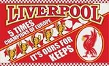 Liverpool FC Champions League Flag