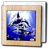 Killer Whale - 6 Inch Tile Napkin Holder