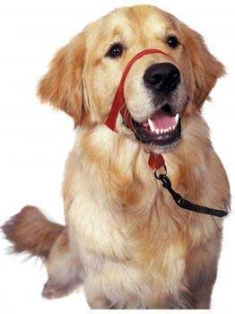 Halti Dog Training Head Collar Red Size 1