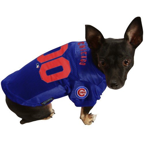 Chicago Cubs Royal Blue Pet Jersey (Large)