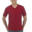 Converse&reg; One Star&reg; Raw Edge V-Neck Tee